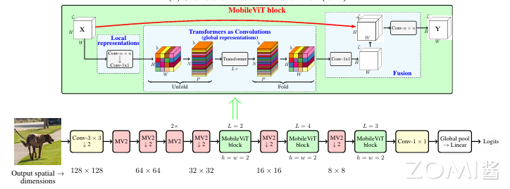 MobileVit